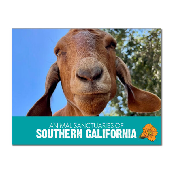 Animal Sanctuaries Of Southern California 2023 Calendar PRESALE 
