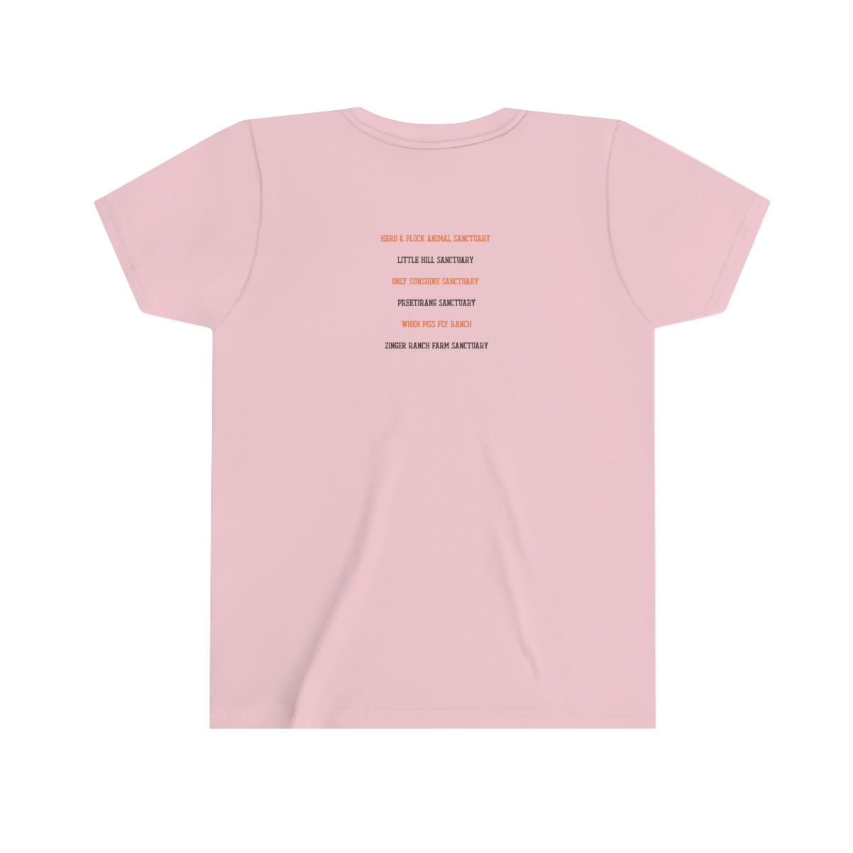 Sanctuary Strong - Youth Short Sleeve Tee - Image 16