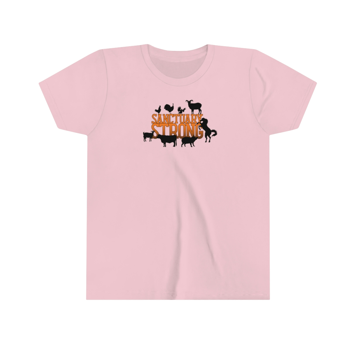 Sanctuary Strong - Youth Short Sleeve Tee - Image 15