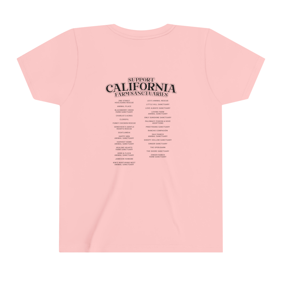 Support California Farm Sanctuaries - Youth Short Sleeve Tee - Image 18
